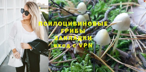 ешки Зеленодольск