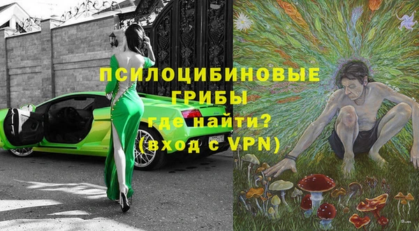 винт Инта