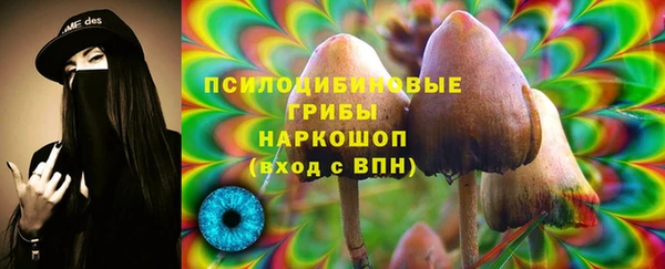 бошки Абдулино