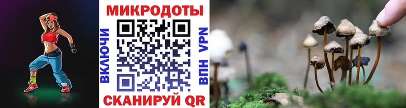 Псилоцибиновые грибы мухоморы  Емва 